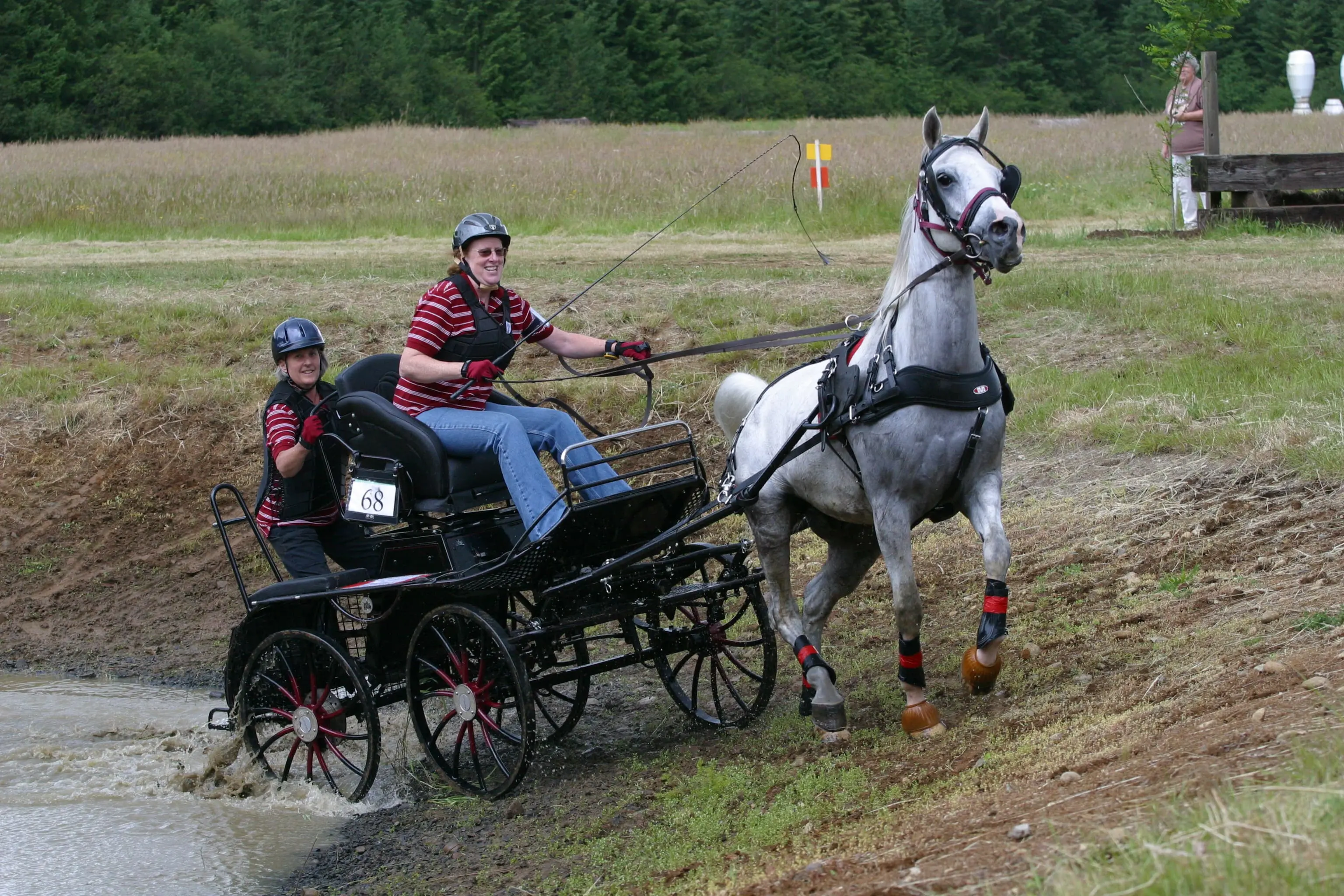Leisure driving with Horse Light carriage